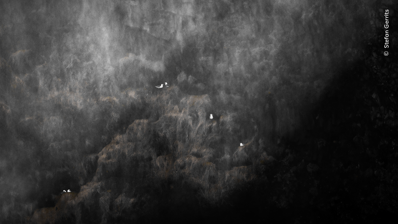 Legends of the Falls