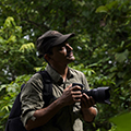 Nayan Khanolkar