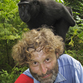 David Maitland